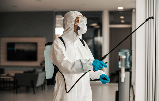 Desinfección profesional