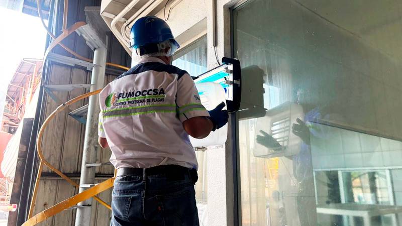 Fumigación profesional Guatemala - FUMOCCSA más de 20 años experiencia