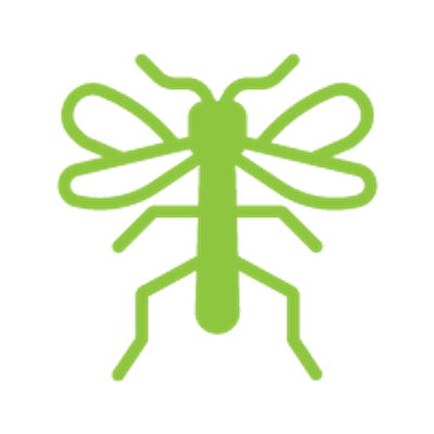 Otros insectos voladores