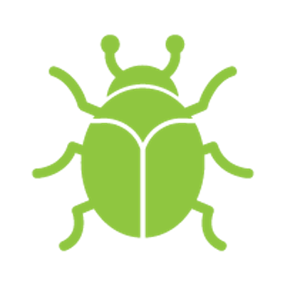 Escarabajos del grano